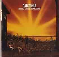 Catatonia ‎– Equally Cursed And Blessed Catatonia ‎- Equally Cursed And Blessed (1999) US CD VG+/